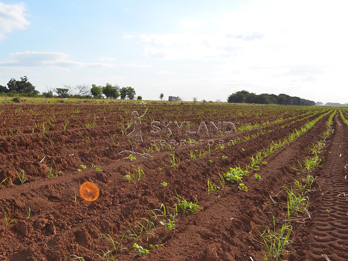 TR210522 Terreno Sumare 6