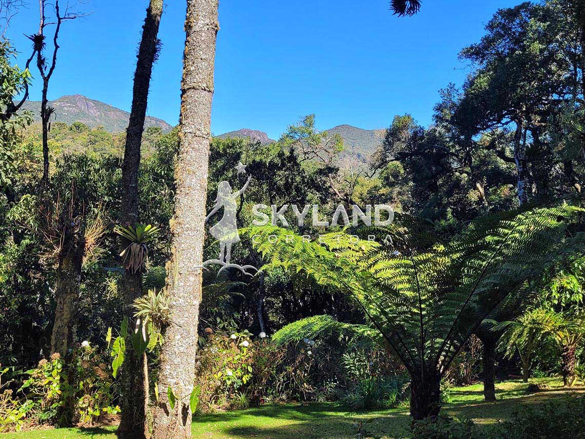 CS230854 Casa Monte Verde 8