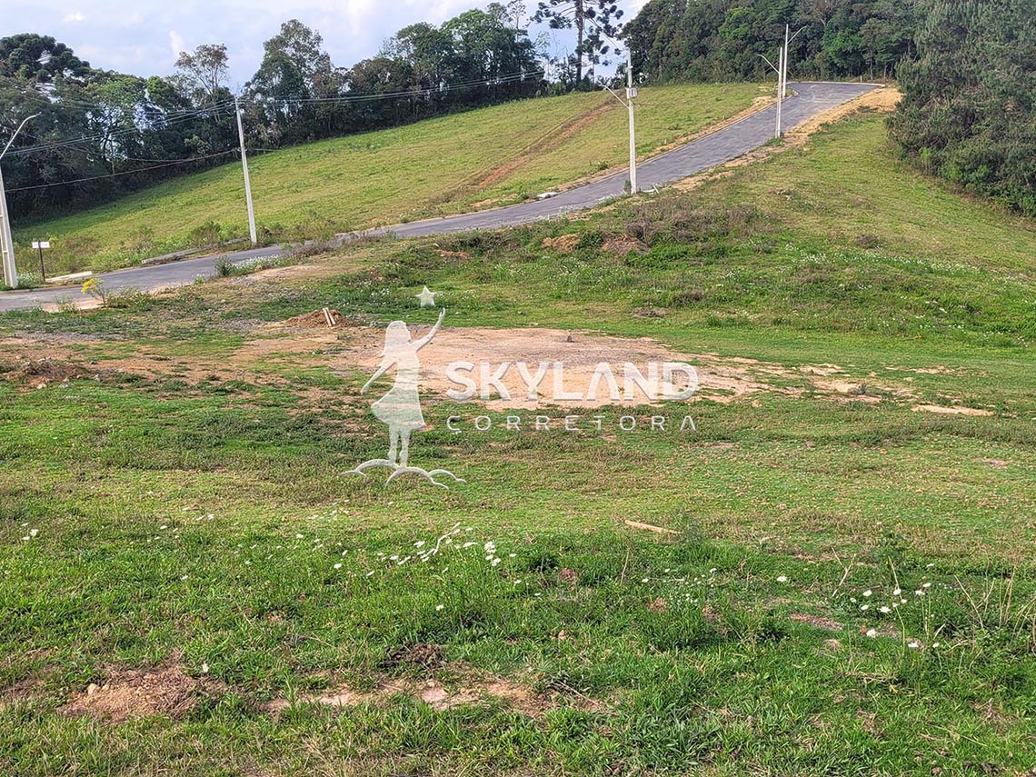 TR230958 Terreno Monte Verde 9