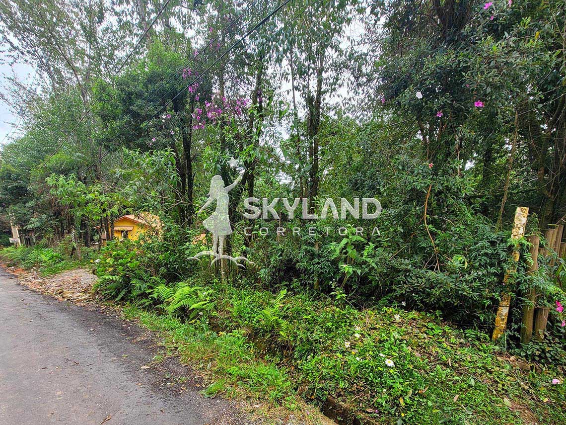 TR240397 Terreno Monte Verde 4