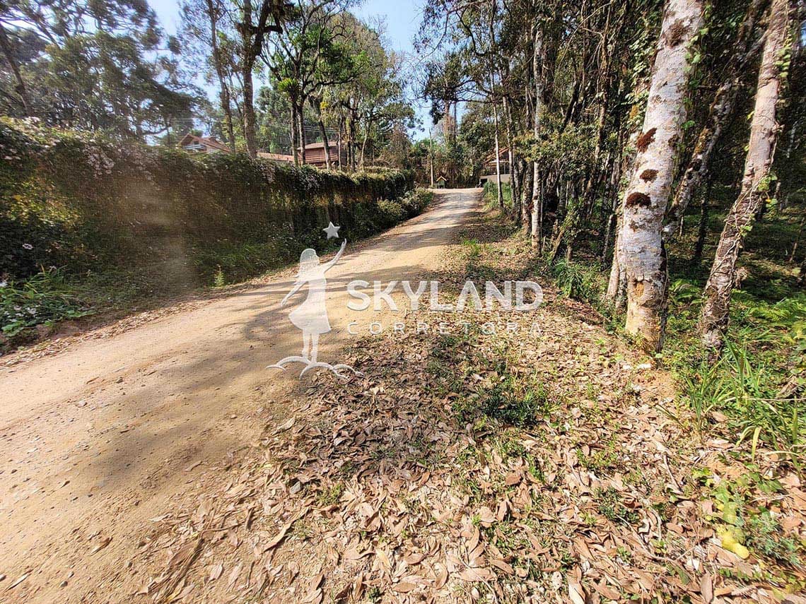 TR2409114 Terreno Monte Verde 4