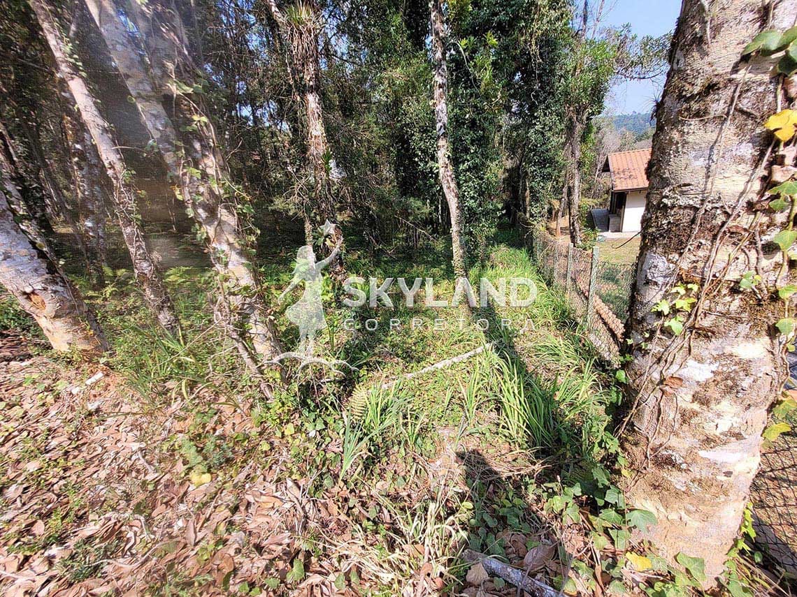 TR2409114 Terreno Monte Verde 5