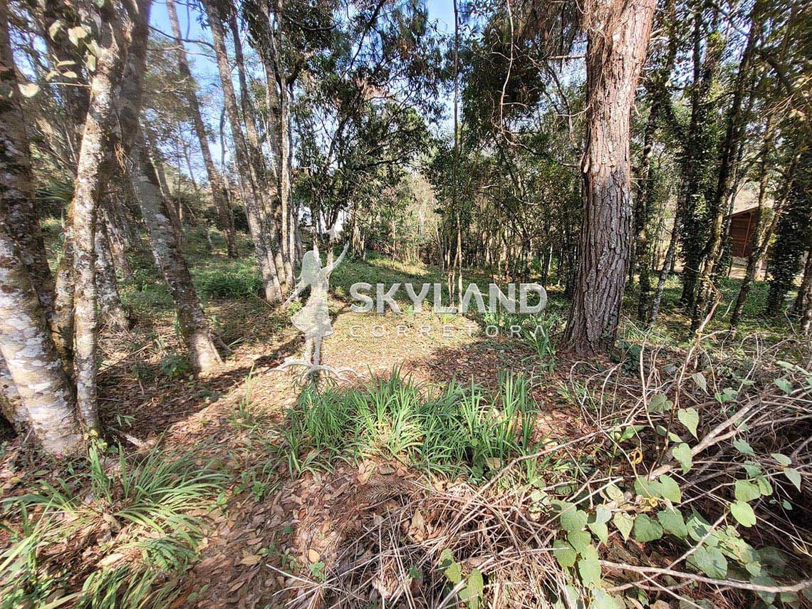 TR2409114 Terreno Monte Verde 6