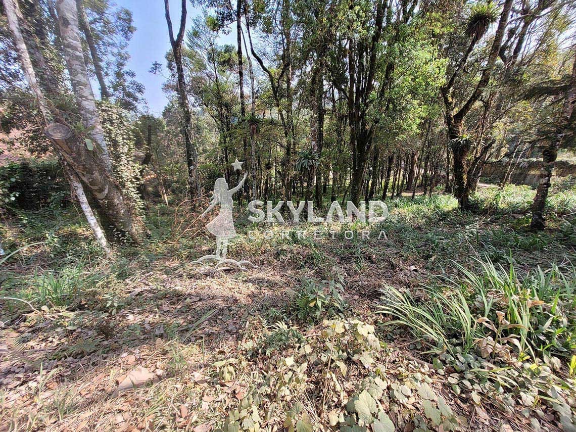 TR2409114 Terreno Monte Verde 7 x