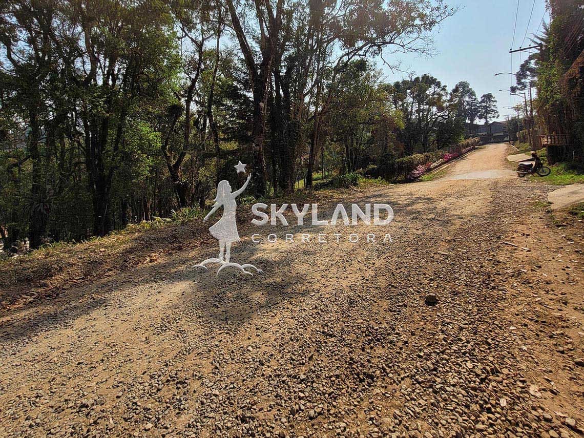 TR2409114 Terreno Monte Verde 8