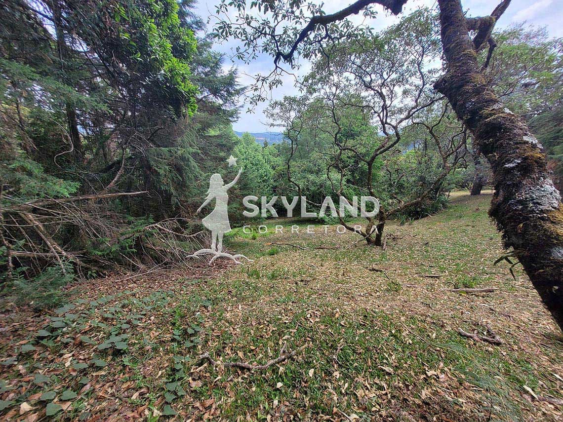 TR2410120 Terreno Monte Verde 3