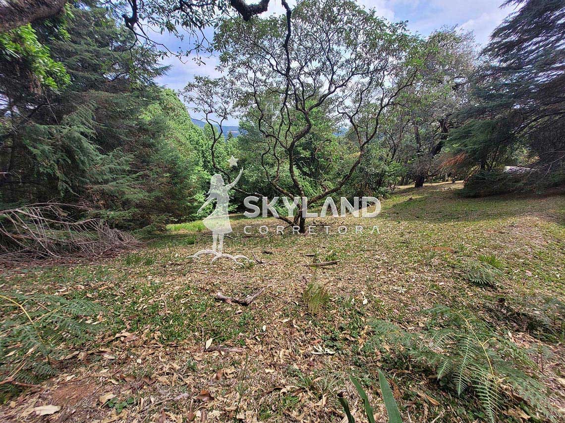 TR2410120 Terreno Monte Verde 4