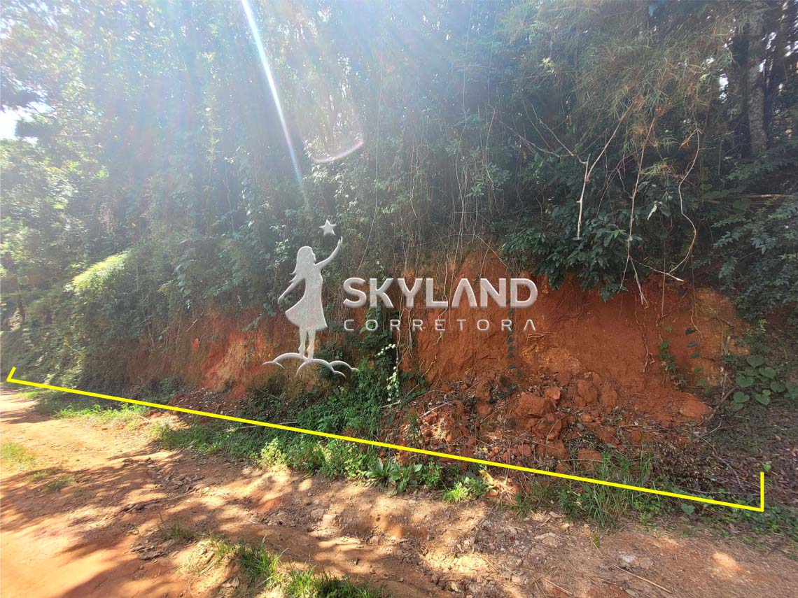 TR2412130 Terreno Monte Verde 3