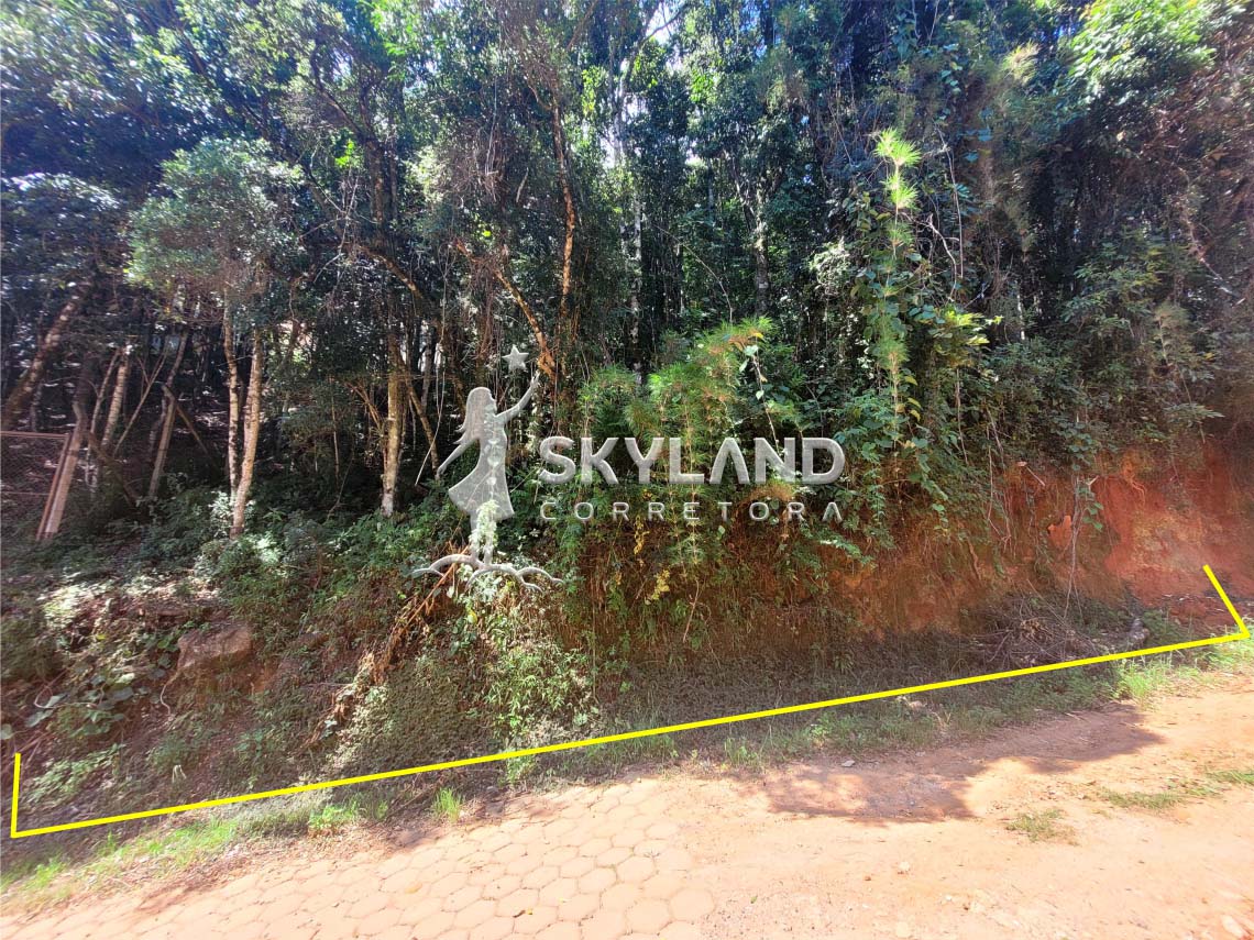 TR2412130 Terreno Monte Verde 4