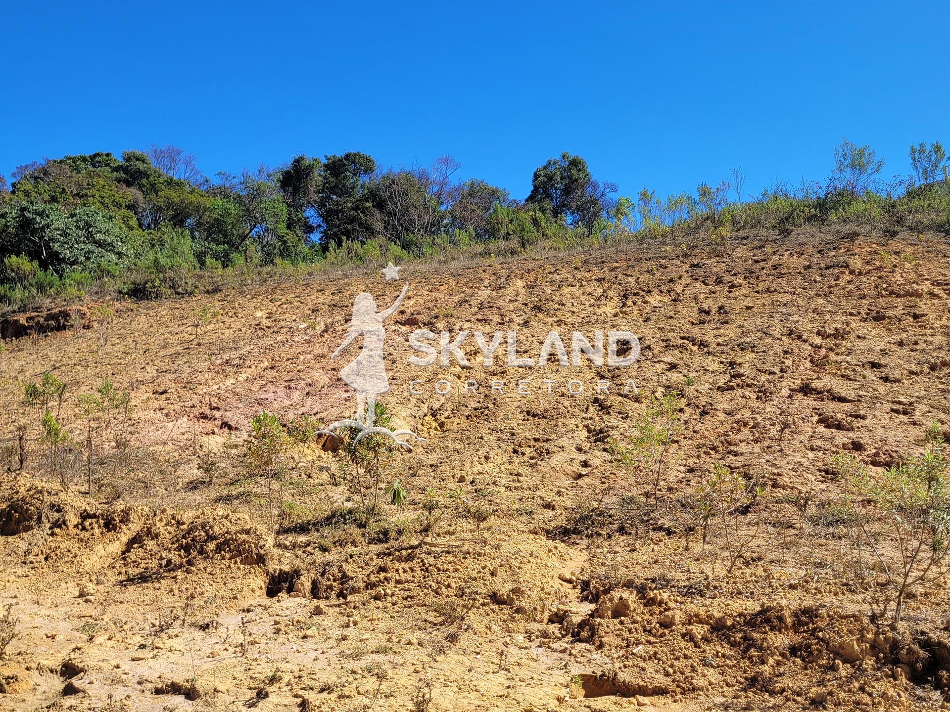 TR2407107 Terreno Monte Verde 2