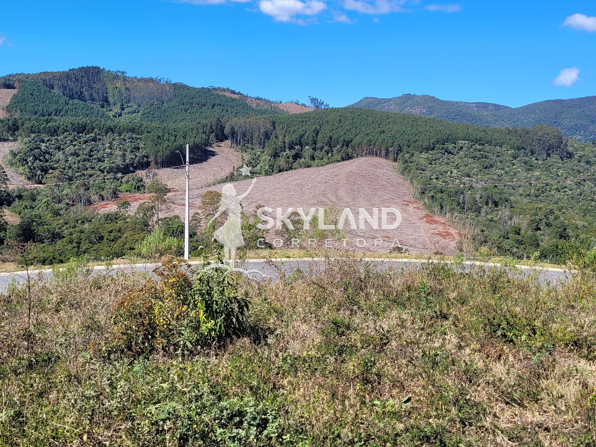 TR2407107 Terreno Monte Verde 4