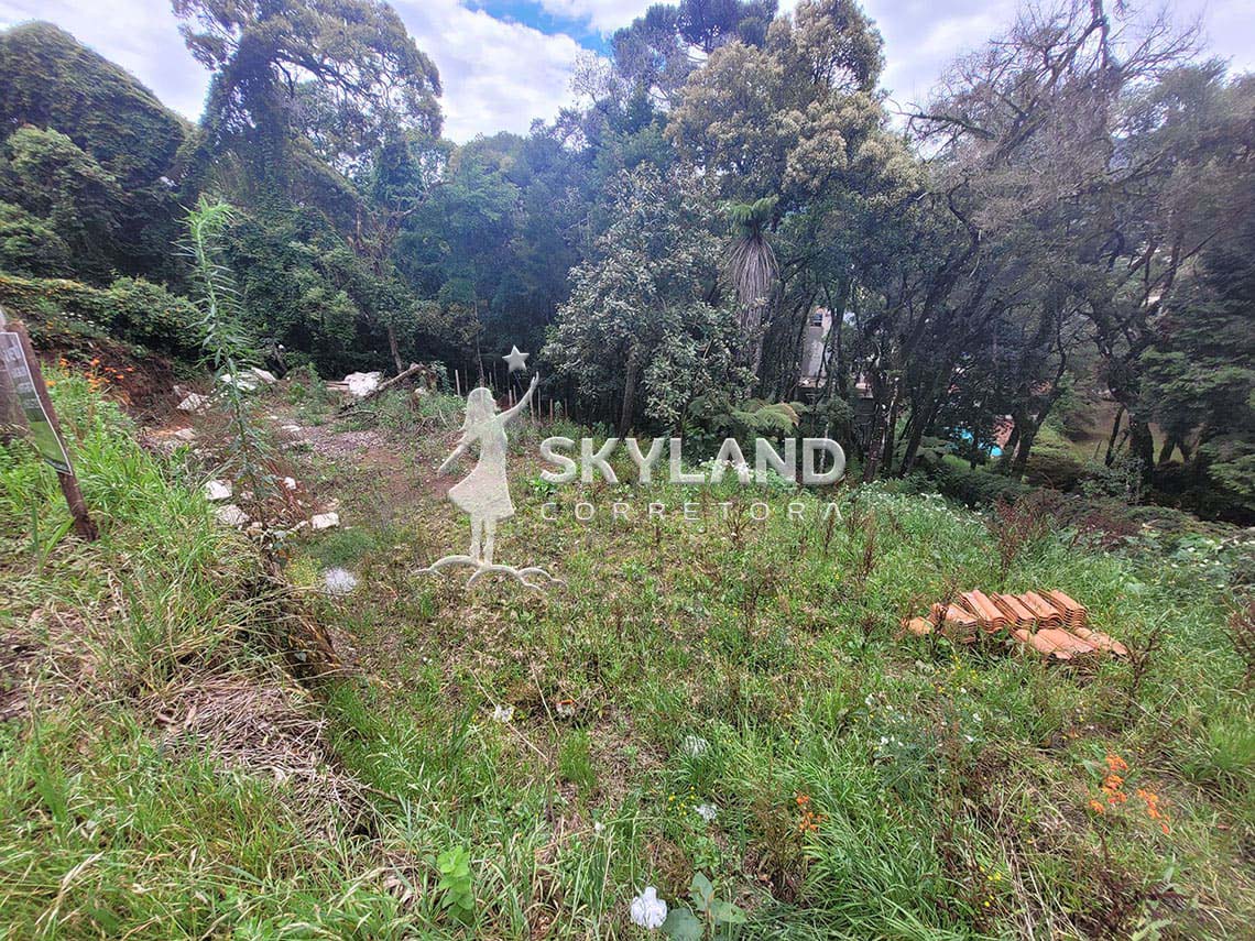 TR2602190 Terreno Monte Verde 4