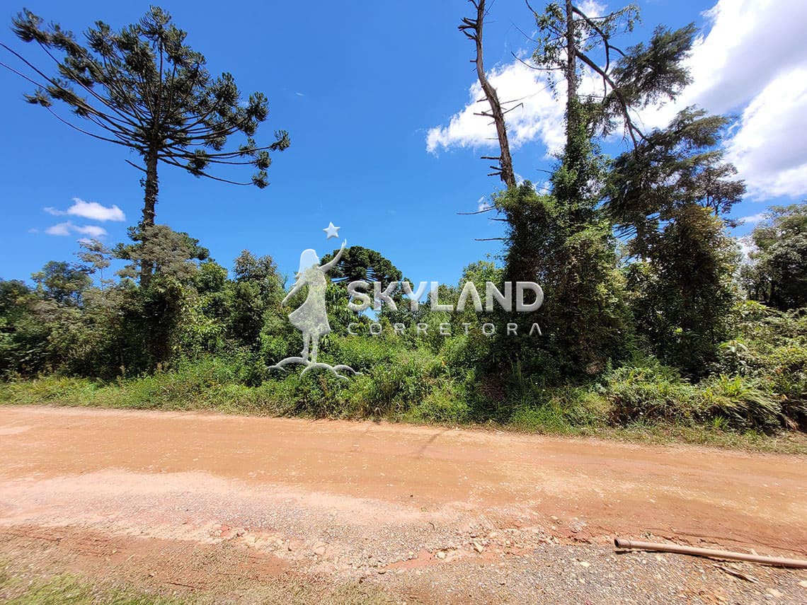 TR2602191 Terreno Monte Verde 3