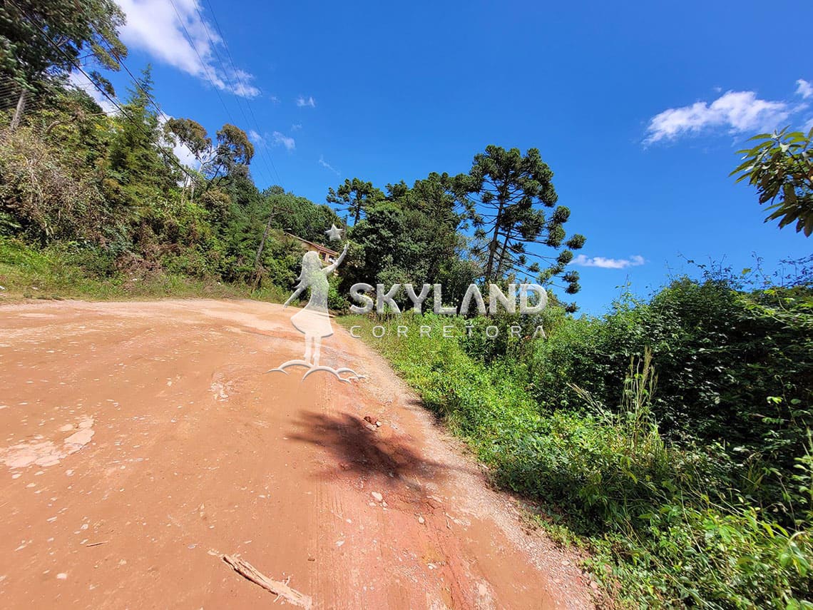 TR2602191 Terreno Monte Verde 5