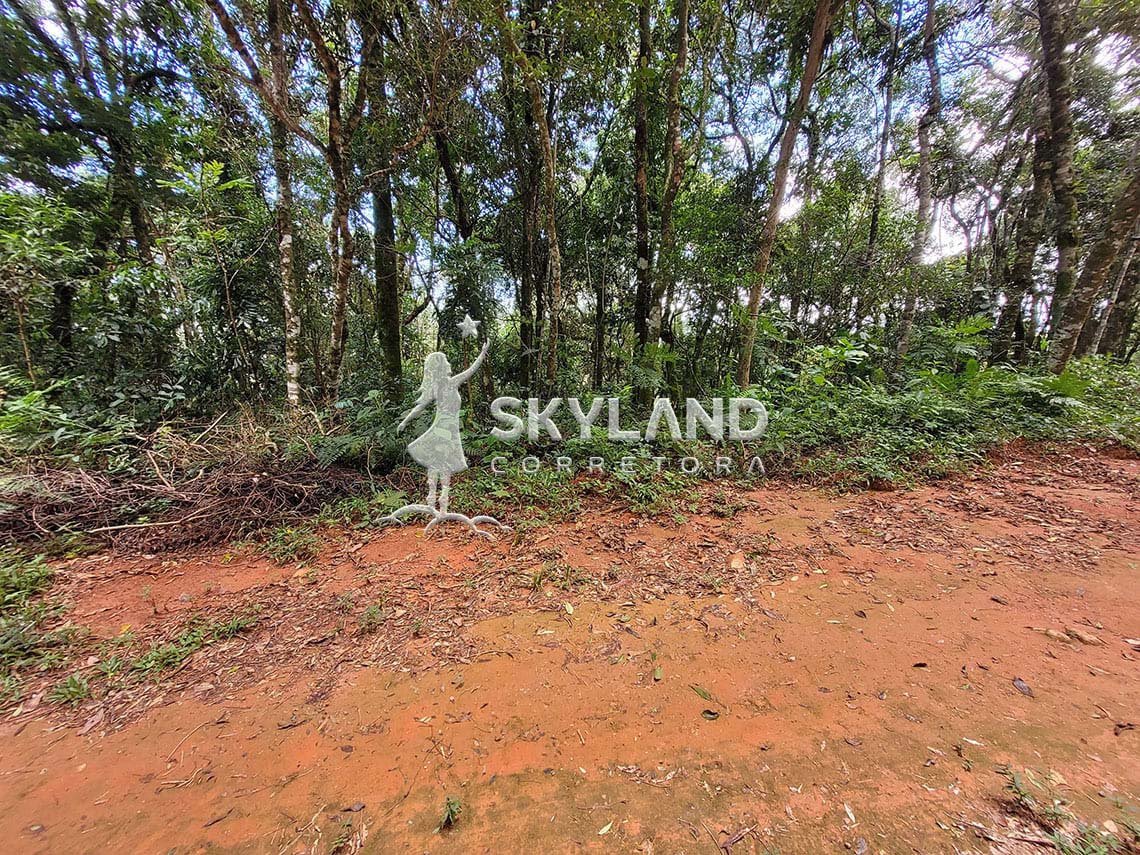 TR2602192 Terreno Monte Verde 2