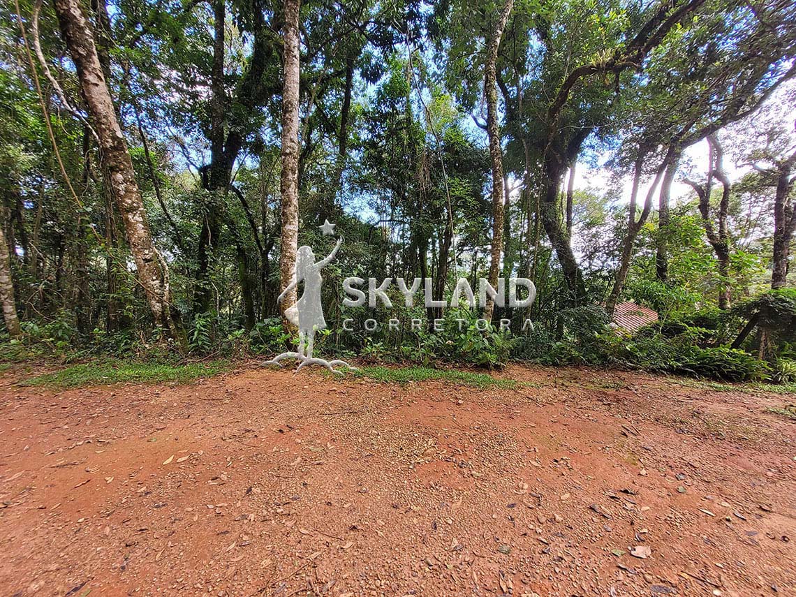 TR2602192 Terreno Monte Verde 3