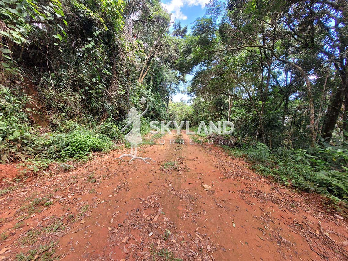 TR2602192 Terreno Monte Verde 4