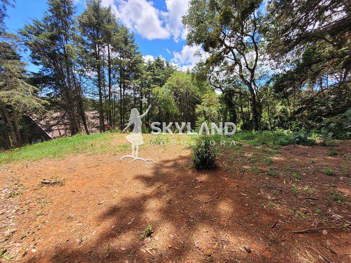 TR2602193 Terreno Monte Verde 4