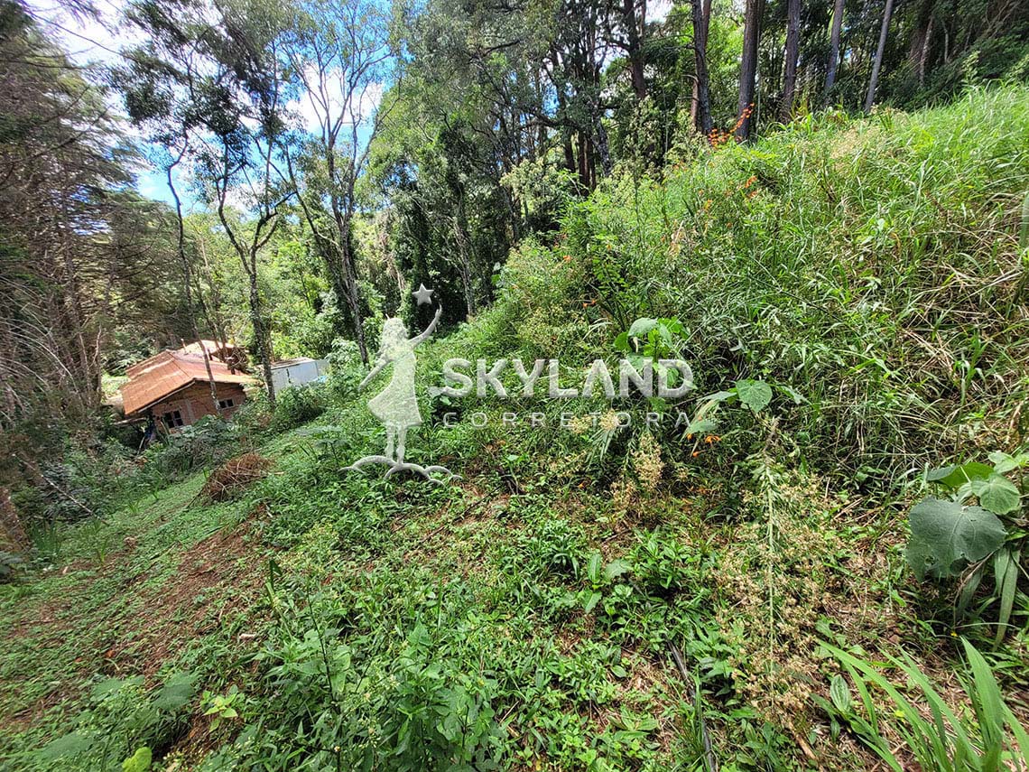 TR2602193 Terreno Monte Verde 5