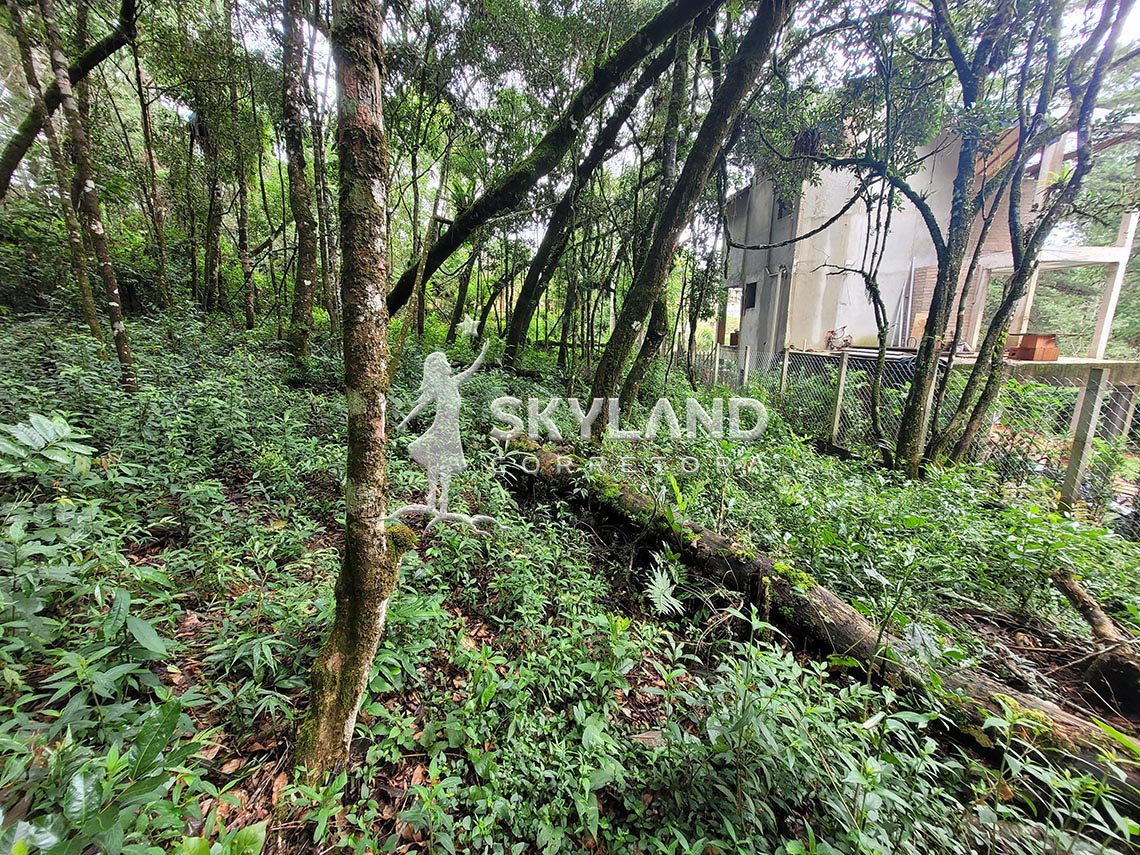 TR2603196 Terreno Monte Verde 2