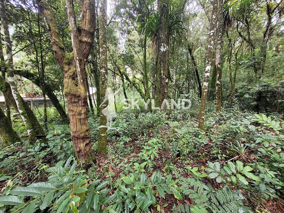 TR2603196 Terreno Monte Verde 4